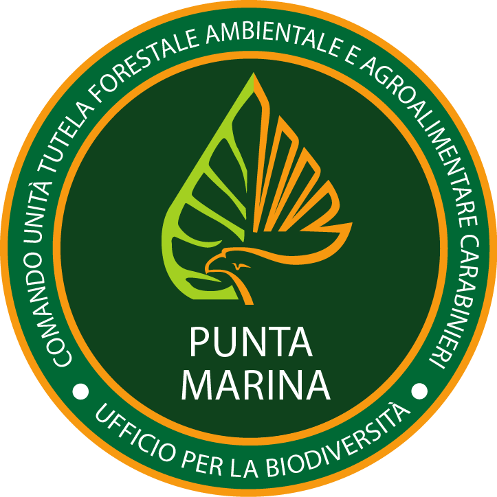 Punta Marina